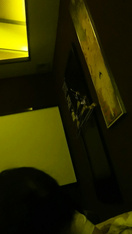 yanyan：；“。”